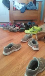 12798861_10207855164450761_9099623931734186639_n